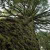 Allgemeine Bilder